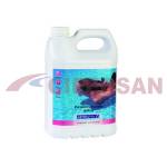 DESINCRUSTANTE EXTRA